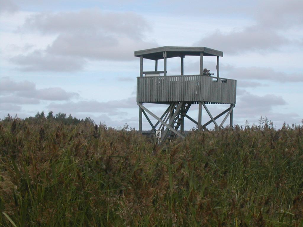 Nuorisokeskus Villa Elba Kokkola  Luaran gambar